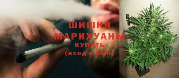 крисы Беломорск