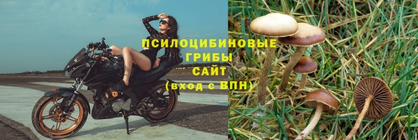 крисы Беломорск