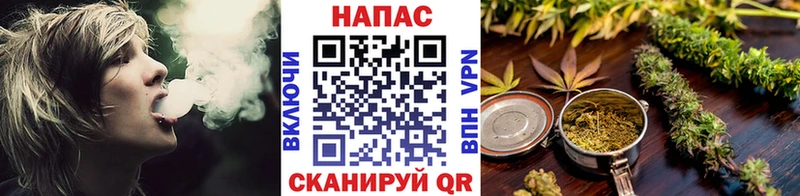 купить  цена  Куса  Конопля Ganja 